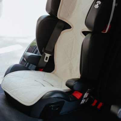 Car seat cover for babies “Wisp”